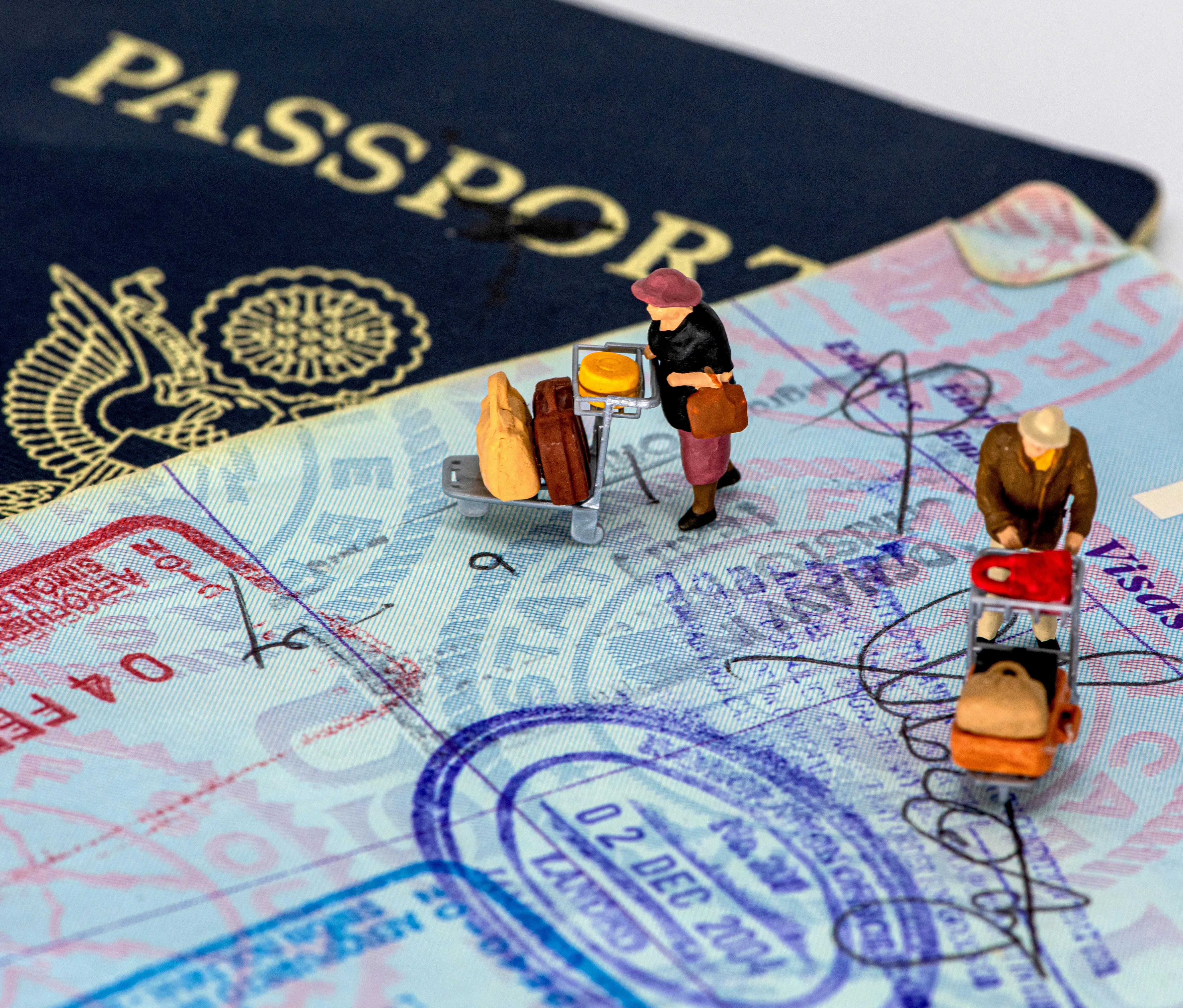 Visa Processing